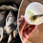 Starejši ribiči vam bodo zavidali: Lifehacks o tem, kako ujeti